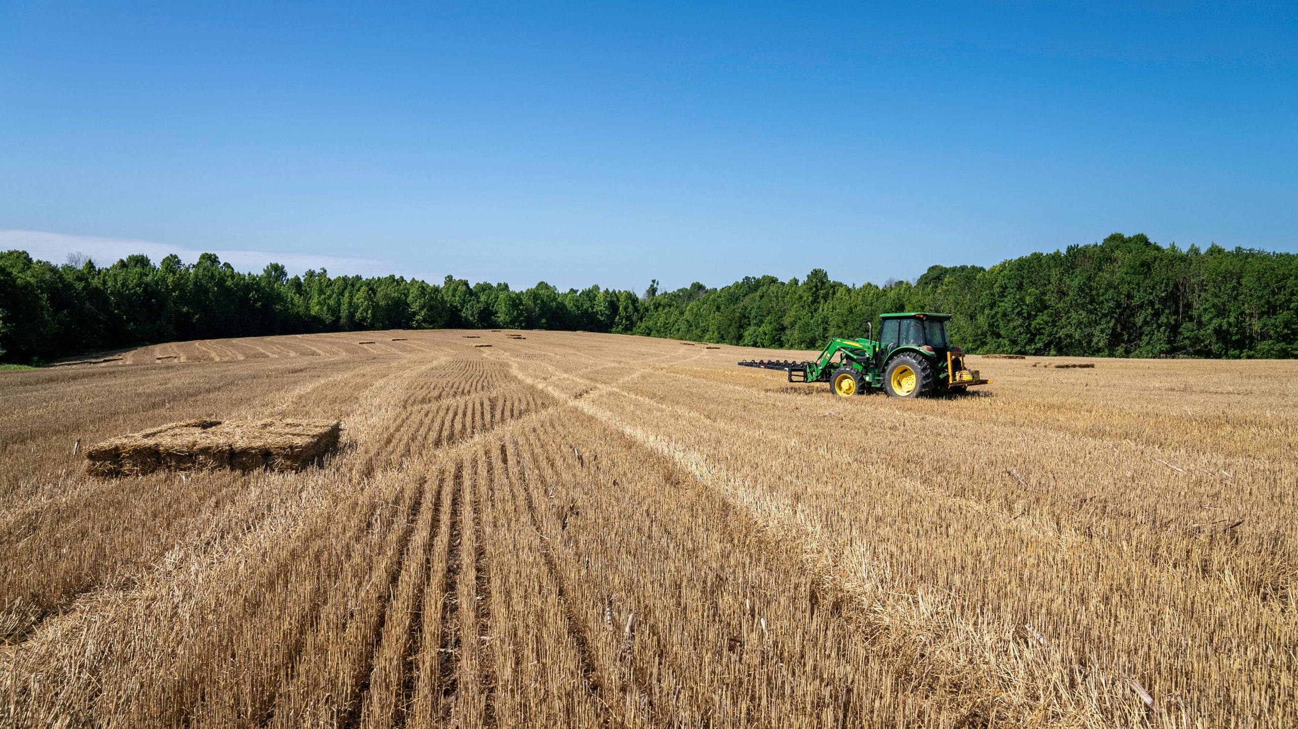 Green tractor in a wheat field