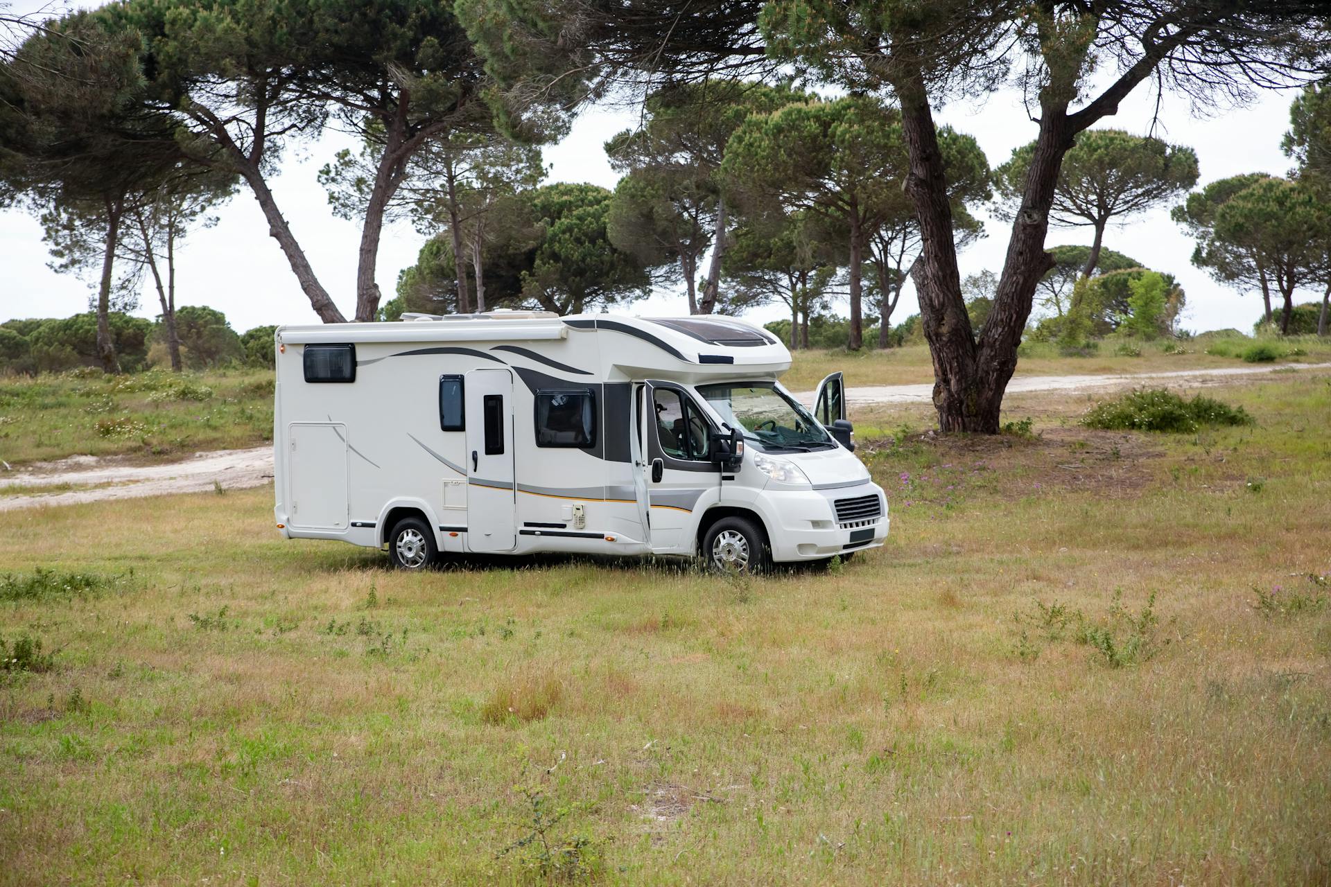 Caravan on a plot of land with trees.