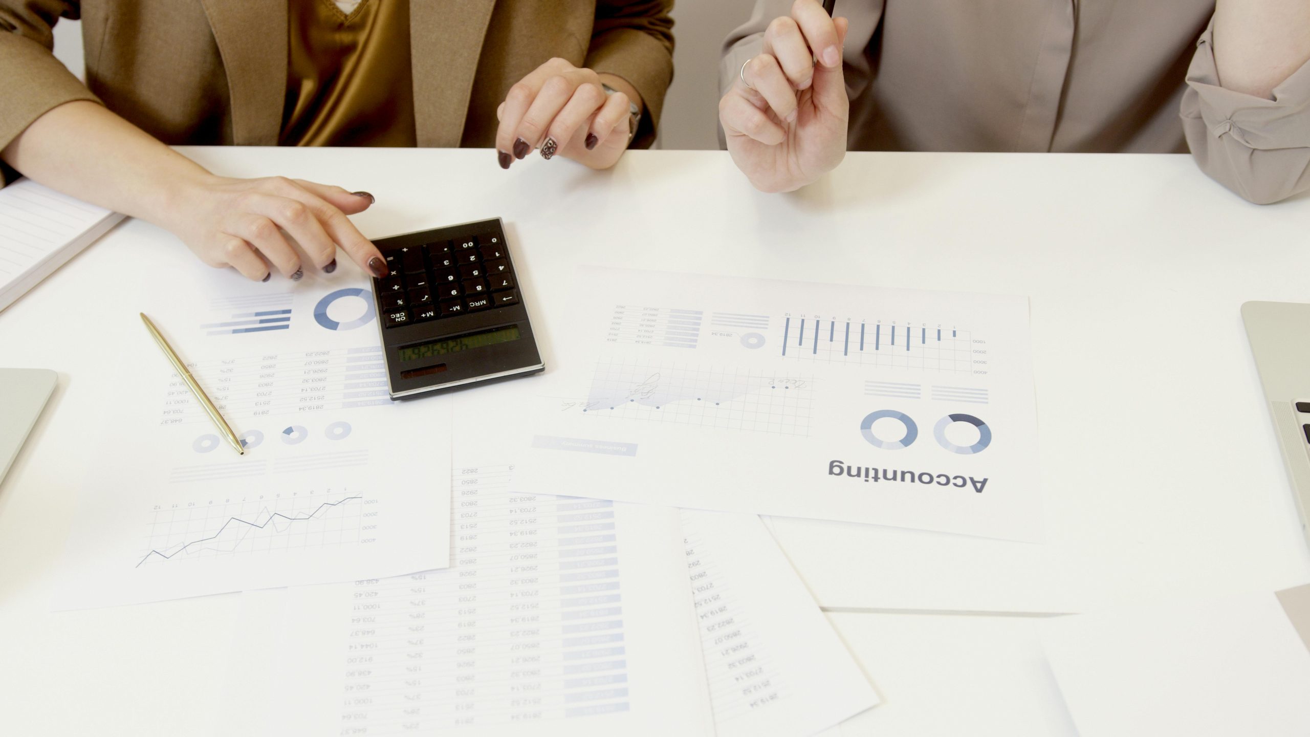 Two accountants are working.