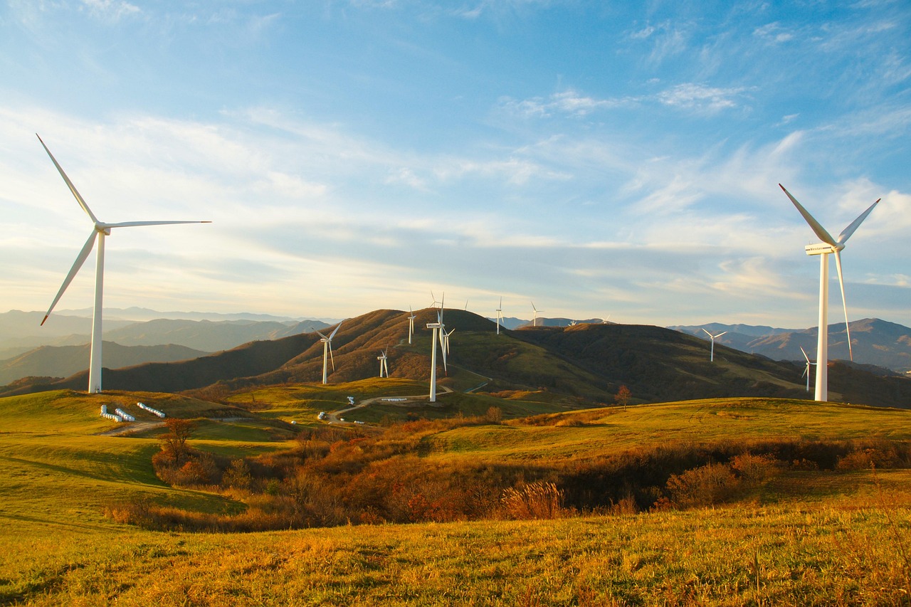 Field of wind turbines