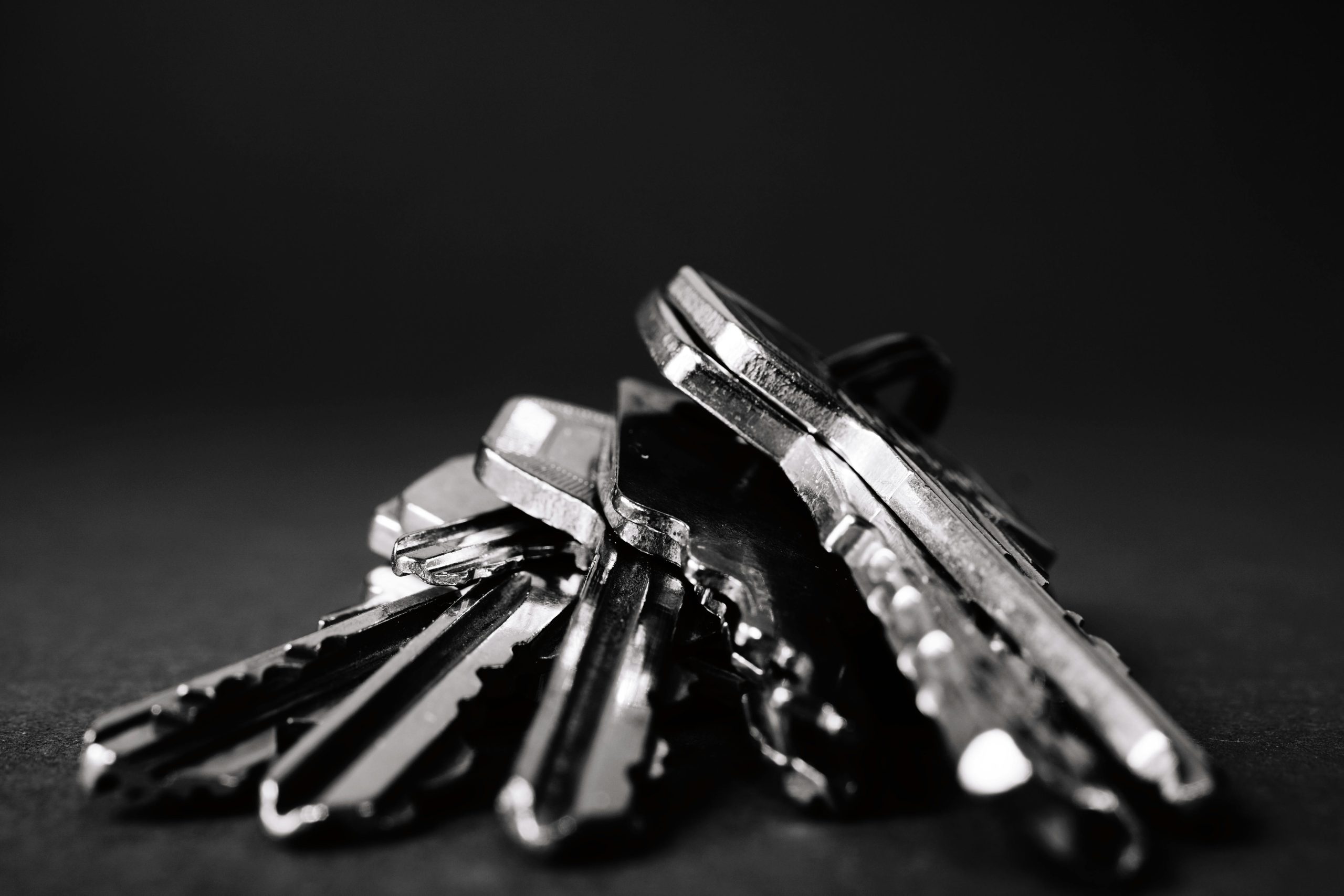 Keyring with several keys.